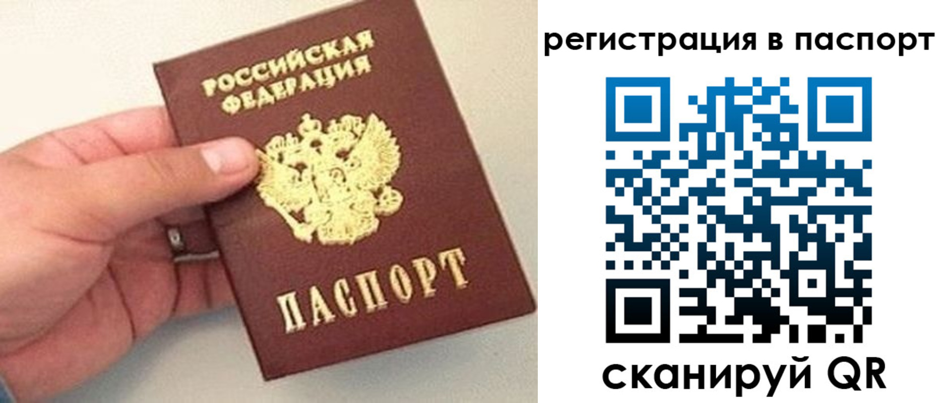 прописка законно в Арзамасе